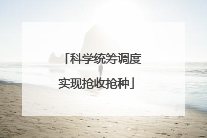 科学统筹调度实现抢收抢种
